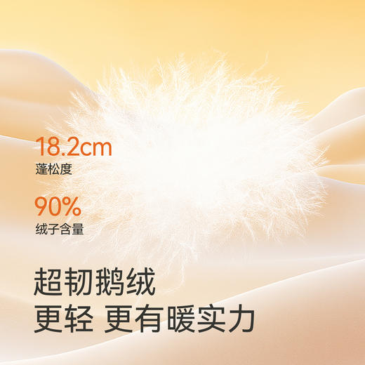 英氏儿童羽绒服鹅绒冬季保暖防寒防风连帽外套男童男宝宝潮流户外 商品图1