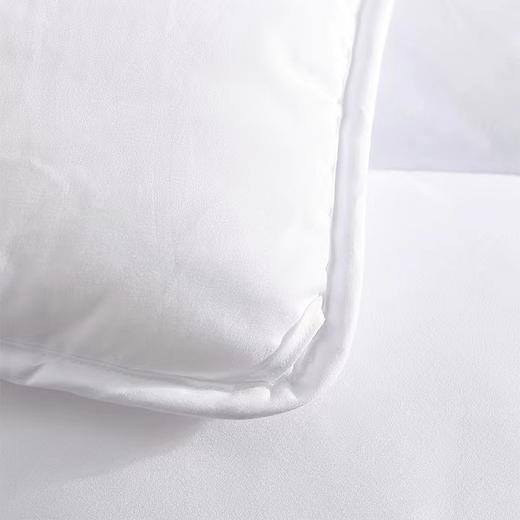 梦洁家纺抗菌七孔大豆被200*230cm 商品图5