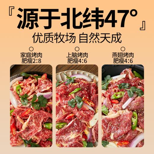 齐齐哈尔-家庭烤肉-组合装 商品图4