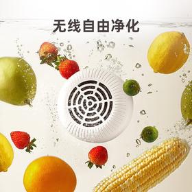 优益Y-GSQX02 果蔬清洗机