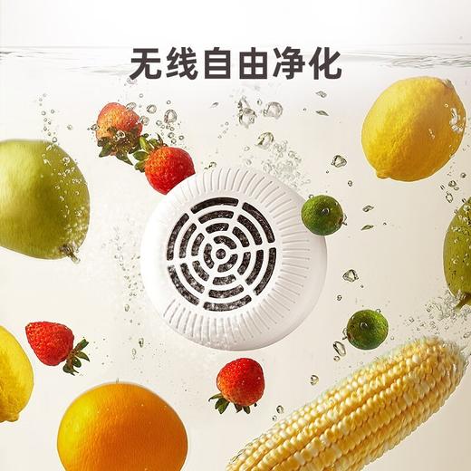 优益Y-GSQX02 果蔬清洗机 商品图0