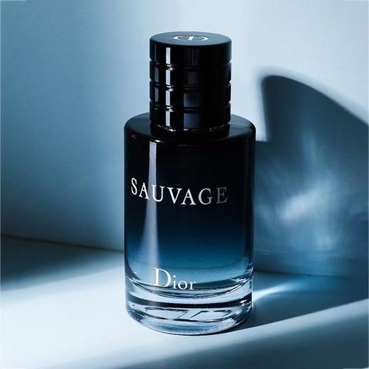 【限时特惠】Dior迪奥旷野男士经典香水系列 淡香水100ml 商品图2