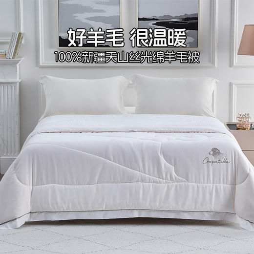 多喜爱 臻奢极暖纯绵羊毛加厚冬被【100%新疆纯绵羊毛】【60S细羊毛】【60S提花面料】【丝光工艺】加厚填充 舒适温暖 细腻亲肤 烫钻工艺 PU皮手提包 商品图0
