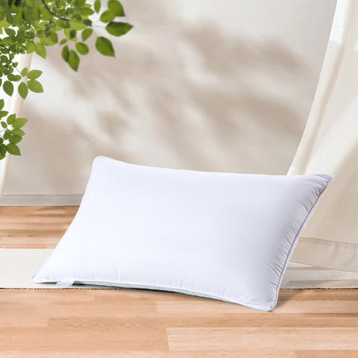 水星家纺 春夜抗菌枕 74cm*48cm 洁净舒适 抗菌防螨 123032 商品图0