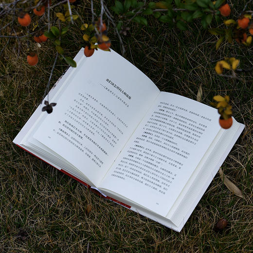 观乎人文：东塾人文讲谈录 商品图5