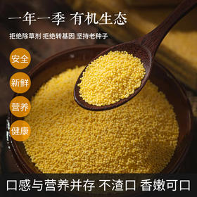 新米上市【一碗好饭】有机胚芽黄金苗2号小米 古早品种 细腻丝滑无渣 米香浓郁 一碗暖洋洋