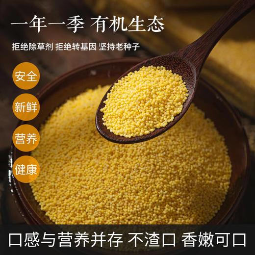 新米上市【一碗好饭】有机胚芽黄金苗2号小米 古早品种 细腻丝滑无渣 米香浓郁 一碗暖洋洋 商品图0