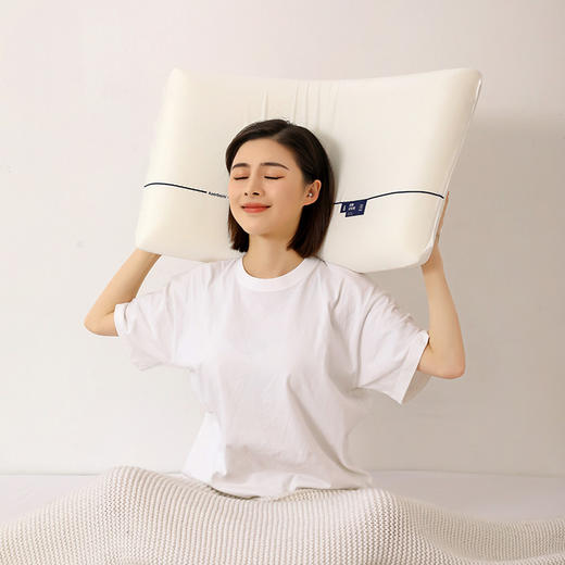 皮尔卡丹 零压枕 PCAZ-02527 商品图7