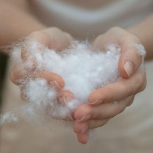 [屁侠推荐.pippa]冰淇淋云朵泡芙羽绒服 90白鸭绒 短款/中长款 连帽面包 商品图2