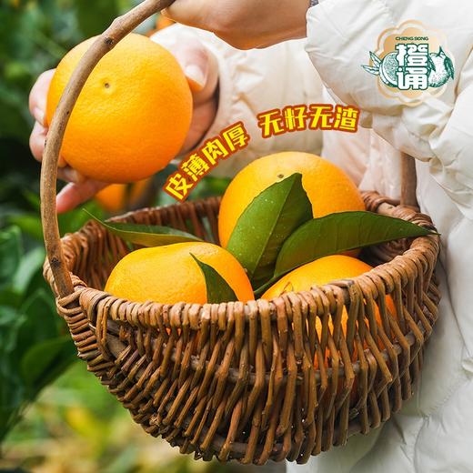 湖北秭归九月红橙8-9斤大果彩箱装【分仓直发，72小时发货，周末节假日不发货】 商品图7