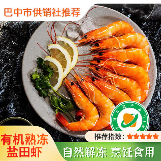 【渤海盐田】有机盐田虾 虾饱满Q弹 水产海鲜冷冻海虾 商品图0