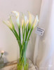 现货A级白色马蹄莲一扎10支 支长75厘米 商品缩略图0