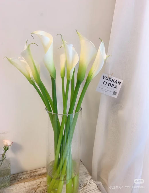 现货A级白色马蹄莲一扎10支 支长75厘米 商品图0