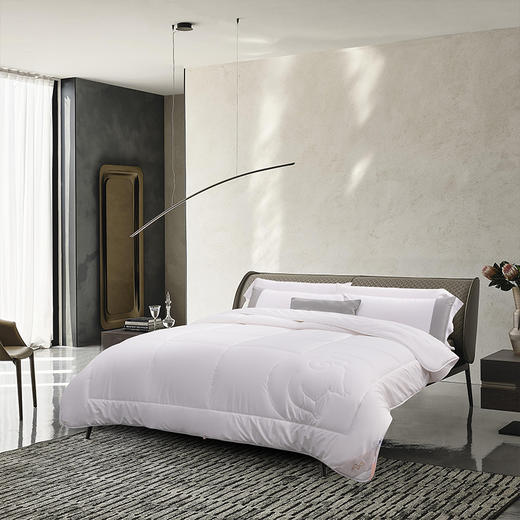水星家纺抗菌DH威尔抗菌澳洲羊毛被 220cm×240cm 126789 商品图8