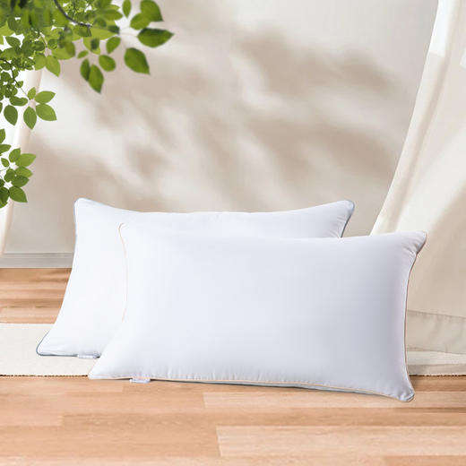 水星家纺DH春眠抗菌对枕 74*48cm 123033 商品图7