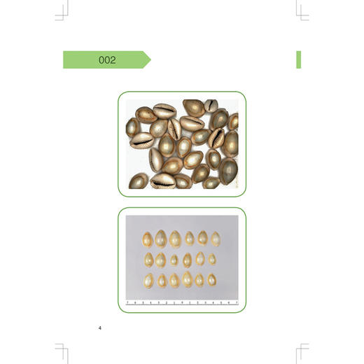 藏药机器视觉识别手册 袁媛 金艳 主编 适用中药学研究人员、临床工作者、药企人员 中药学 9787547872161 上海科学技术出版社 商品图4