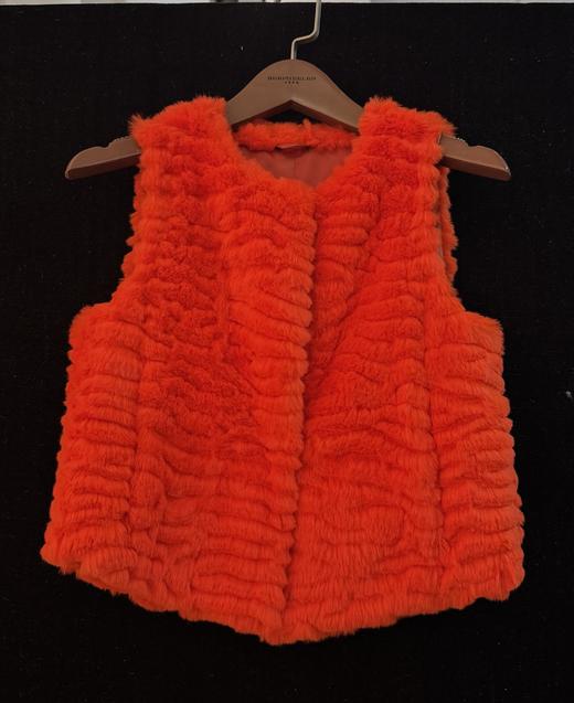 SZ6PH21_苕荣色_马甲_秋冬_V领压褶仿皮草无袖_高级女装_BERNIEELEN 伯妮斯茵 商品图0