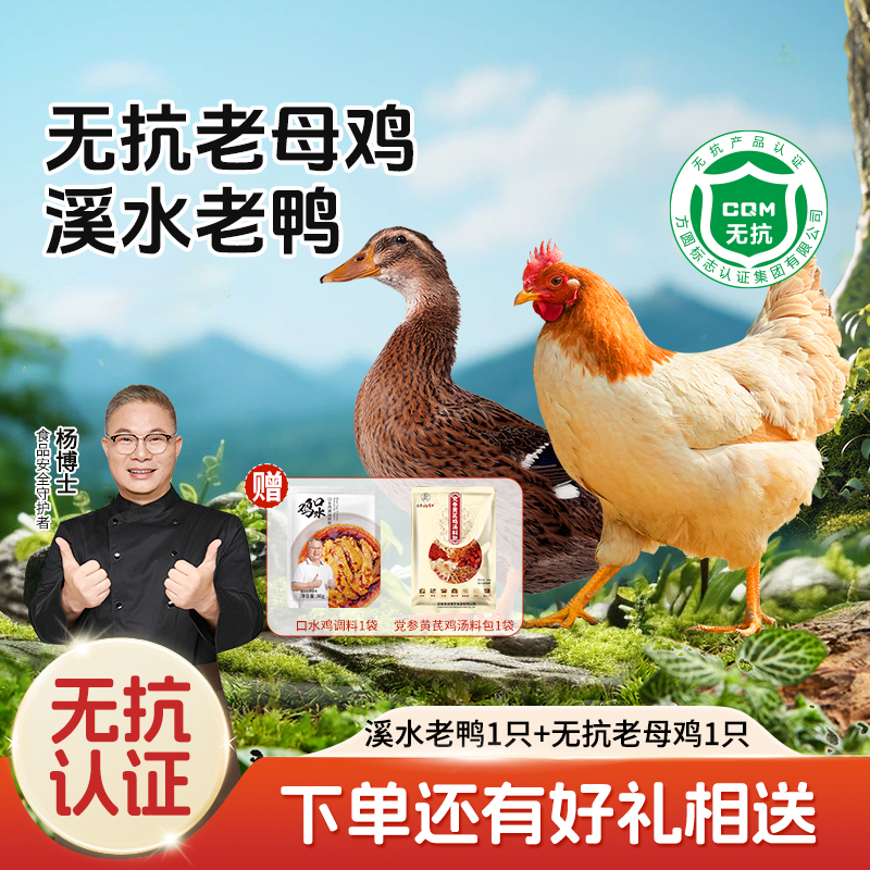 【杨博士自营 溪水老鸭1只+无抗老母鸡1只】 下单还有好礼相送