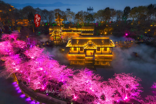 3.24确定出发【樱绽江南】鼋头渚日夜樱•樱花大道•水乡庭院6天摄影团<特惠采风团> 商品图3