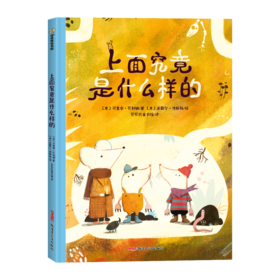 上面究竟是什么样的