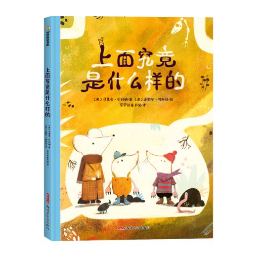 上面究竟是什么样的 商品图0
