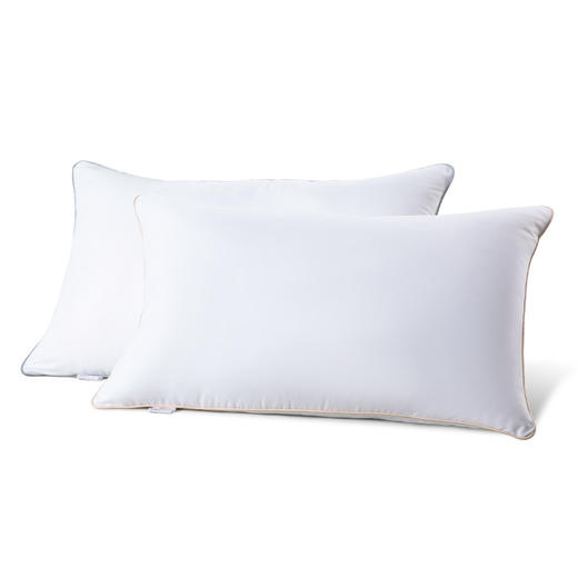 水星家纺DH春眠抗菌对枕 74*48cm 123033 商品图0