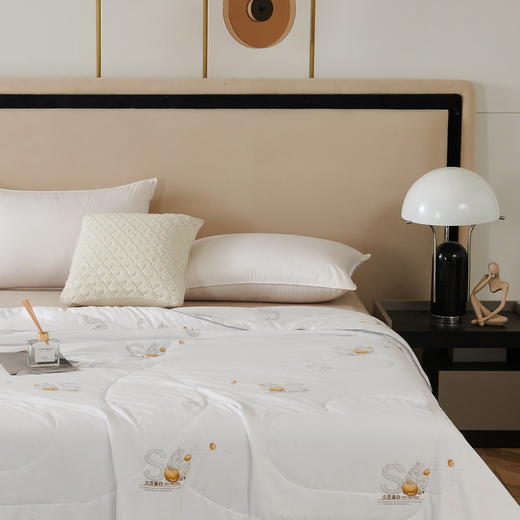 皮尔卡丹云锦大豆蛋白被PCAZ-007 商品图2