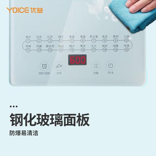 优益YSH3养生壶 （送蛋架） 商品图5