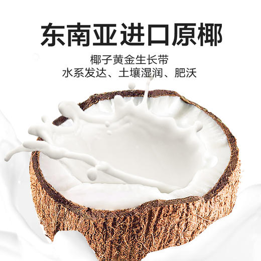 小杨臻选 生榨椰汁 （植物蛋白饮料） 250g*10瓶  即饮生椰 整箱装 商品图1