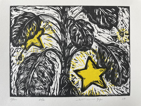 锦江丨开雾丨星星树三