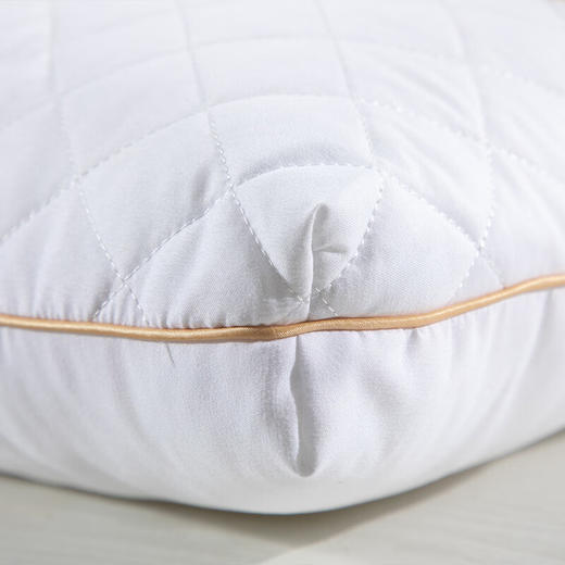 水星家纺 梵可黄荆子抗菌枕 74cm*48cm 舒适健康 草本枕123035 商品图1