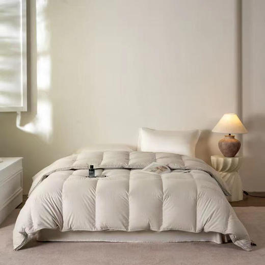 LSN高档鹅绒被 商品图3