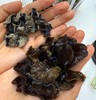 西域美农 有机黑木耳  450g 商品缩略图1