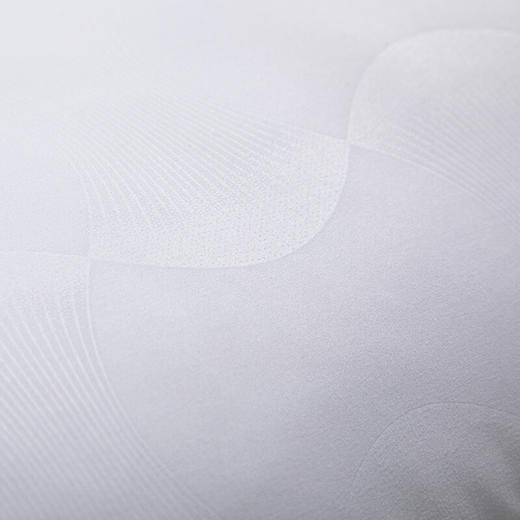 水星家纺 春夜抗菌枕 74cm*48cm 洁净舒适 抗菌防螨 123032 商品图4