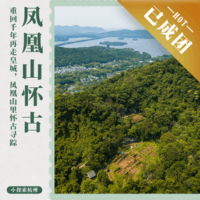 12.28 | 杭州走读 | 重回千年再走皇城，凤凰山里怀古寻踪