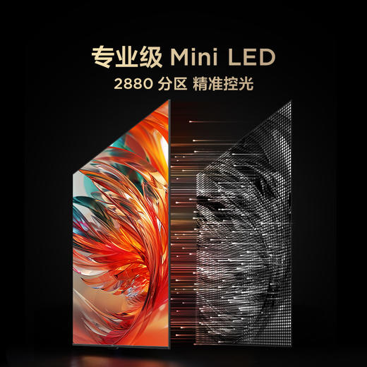 【FFALCON雷鸟】鹤7 25款115英寸 0.5%LR低反膜 QD-MiniLED HVA屏TSR AI画质芯片 电视巨幕115R695C 商品图5
