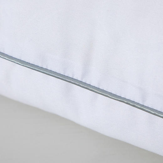 水星家纺DH春眠抗菌对枕 74*48cm 123033 商品图1
