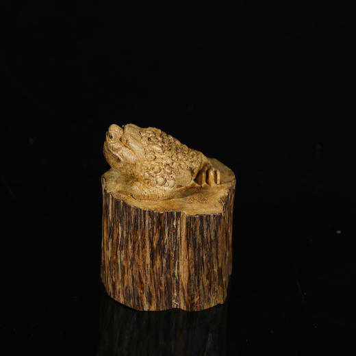 AN1210-3 马泥涝金蝉印章 12.96g 商品图0