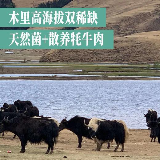 香菌牦牛肉（五香味100g+香辣味100g） 商品图4