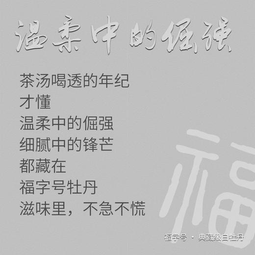 明前特级福字号白牡丹  太姥山北岩老基地出品 福鼎白茶白茶礼盒 商品图5