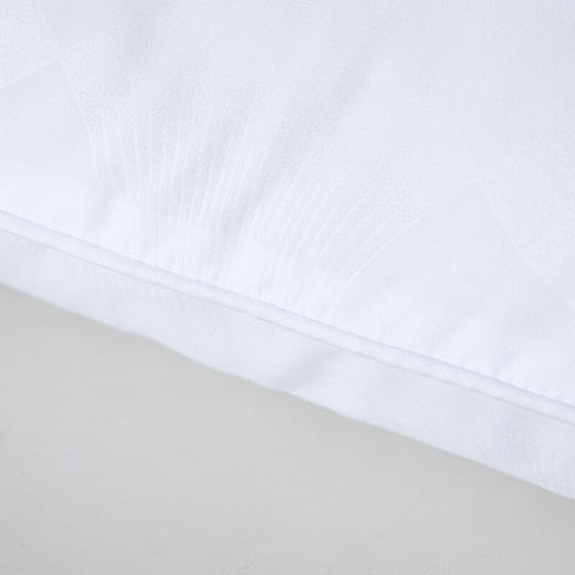 水星家纺 春夜抗菌枕 74cm*48cm 洁净舒适 抗菌防螨 123032 商品图1