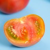 【塔塔蜜水果番茄】西红柿皮脆肉滑 酸甜可口 水果番茄味浓郁 带青肩 可以生吃的番茄 商品缩略图1