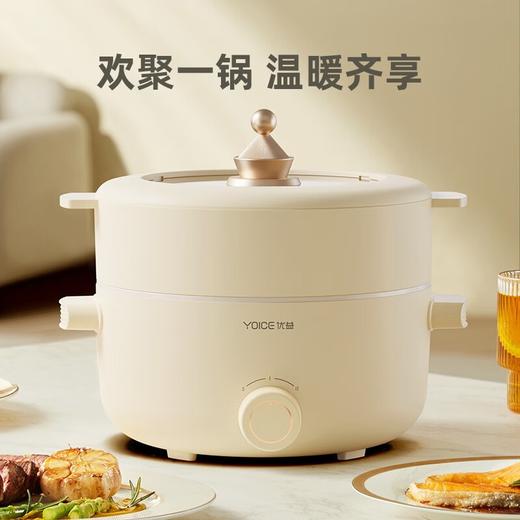 优益Y-DHG15 电火锅/蒸锅+蒸笼 商品图4