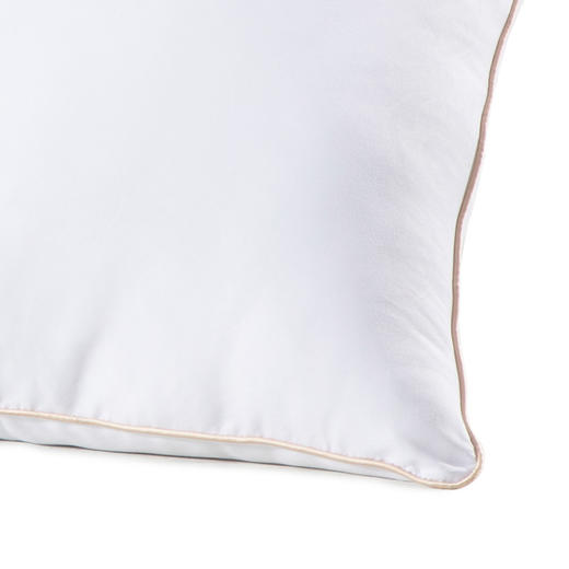 水星家纺DH春眠抗菌对枕 74*48cm 123033 商品图4