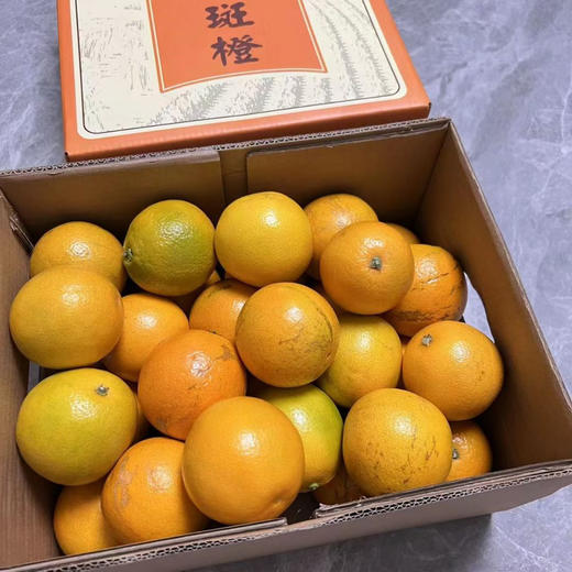 云南花斑橙 商品图4