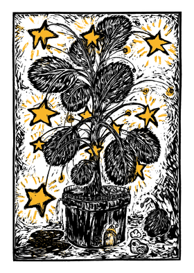 锦江丨开雾丨星星树亚克力装饰画