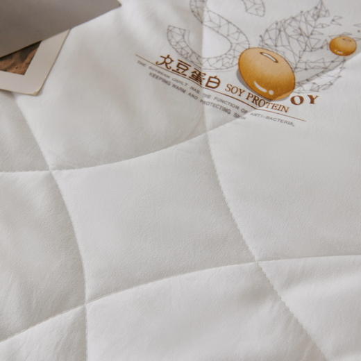 皮尔卡丹云锦大豆蛋白被PCAZ-007 商品图7