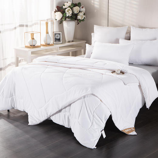 多喜爱 臻品绵羊毛生物绒亲肤加厚冬被/子母被 cs【超细羊毛】【60S全棉提花】【柔软贴身】【温暖舒适】分区保暖 精致烫钻 多种厚度 皮质手提包 商品图9