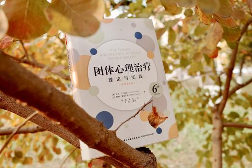 万千心理·团体心理治疗：理论与实践（原著第6版） 商品图4