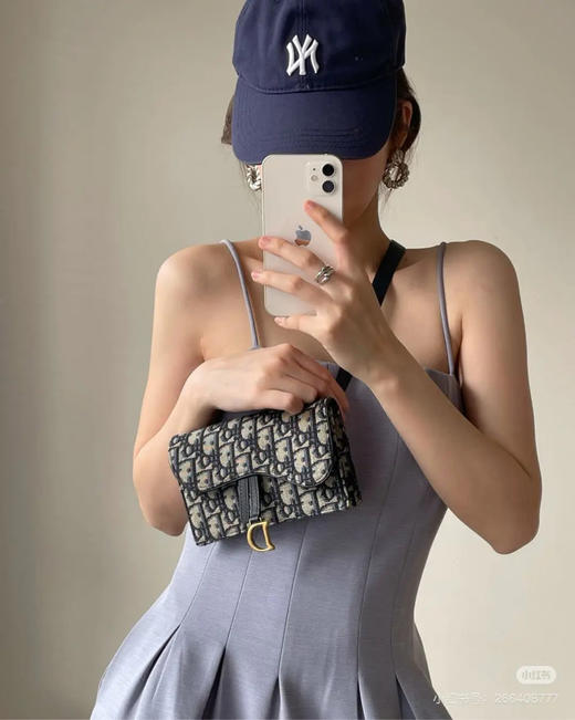 DIOR 老花 马鞍 woc 腰包 商品图2